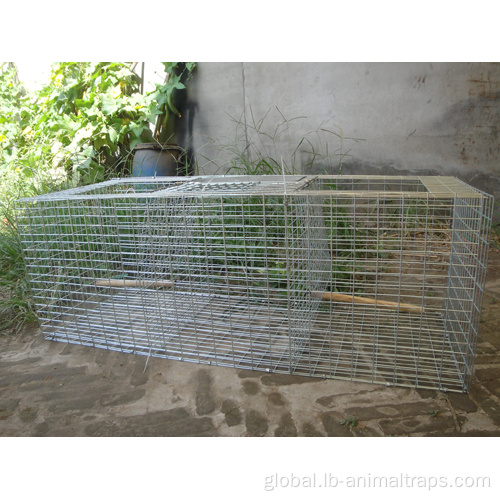 Zinc Plated Mouse Trap Cage Quality Live Animal Humane Trap Cage Catch Manufactory